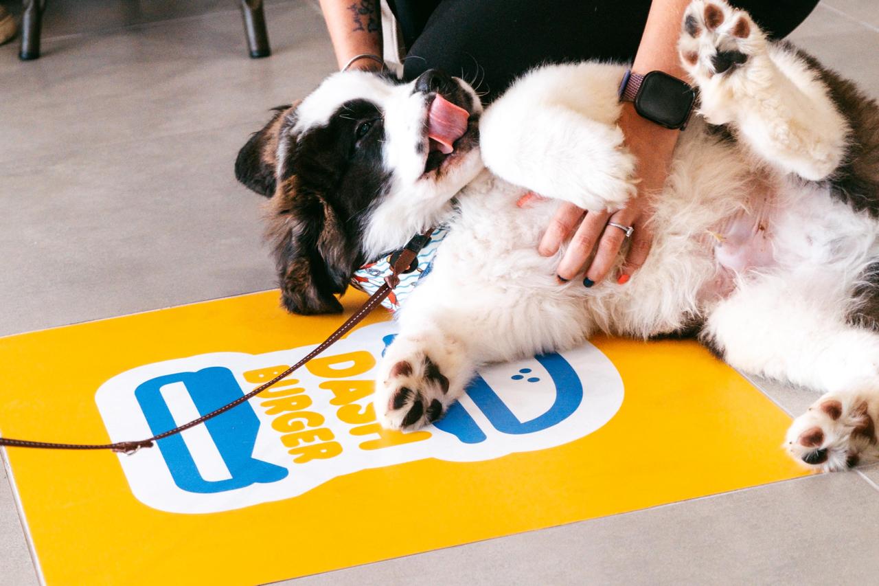 Dog on the DashBurger branded mat